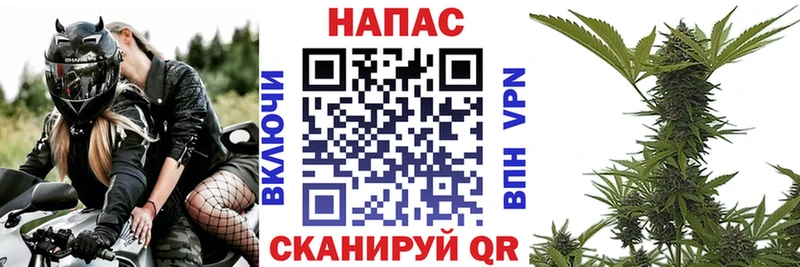 Шишки марихуана планчик  Касимов 